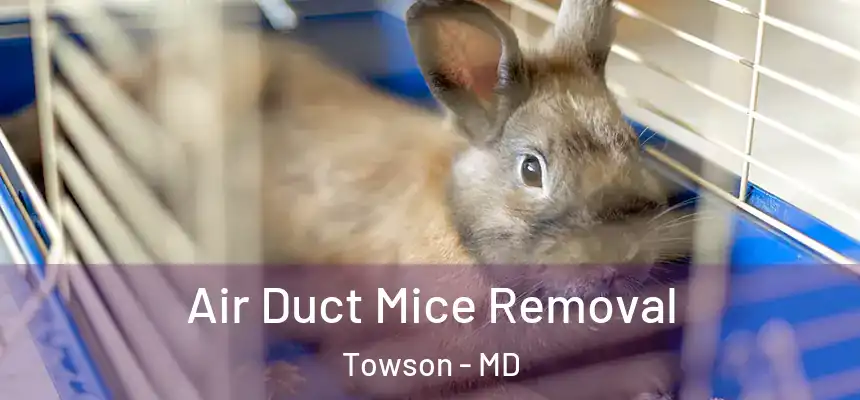 Air Duct Mice Removal Towson - MD