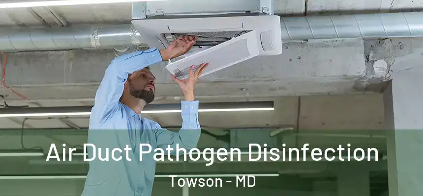 Air Duct Pathogen Disinfection Towson - MD