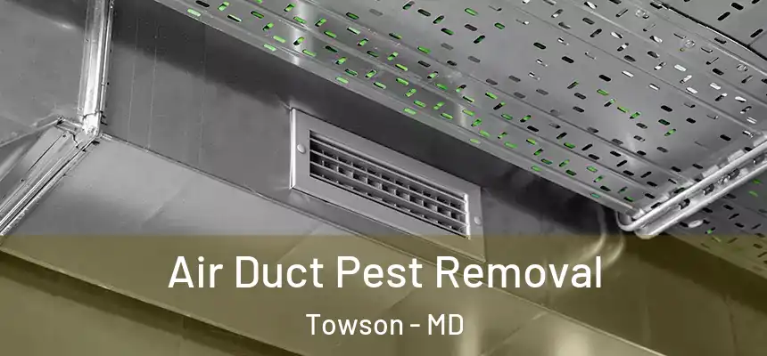 Air Duct Pest Removal Towson - MD