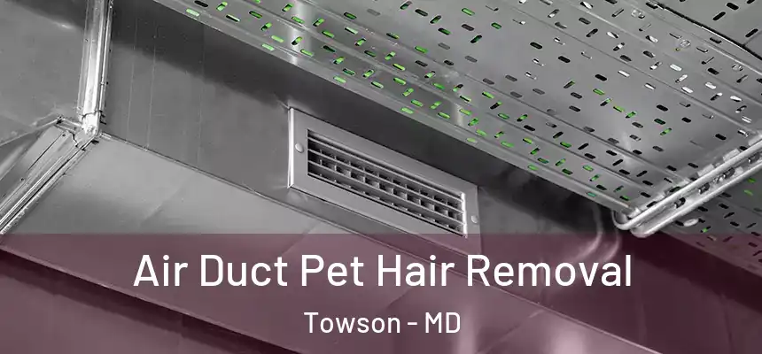 Air Duct Pet Hair Removal Towson - MD