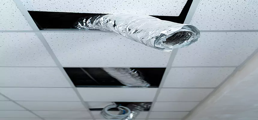 Affordable HVAC Sanitizing After Pest Removal in Towson