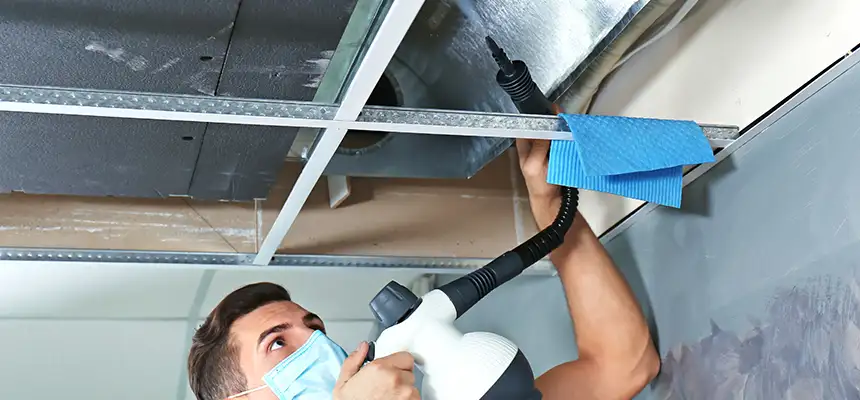 Our Air Duct Rodent Removal Services in Towson, MD