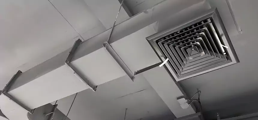 Restorative Allergy Relief Vent Cleaning – Coil, Blower & Housing Detail in Towson