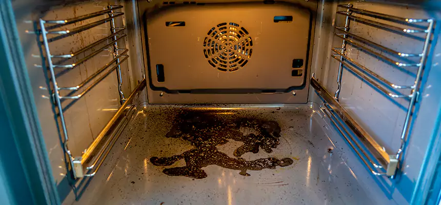 Our Dryer Vent Mold Cleaning Services in Towson, MD