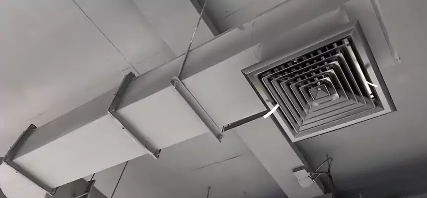 Our Pest Removal From Ducts Services in Towson, MD