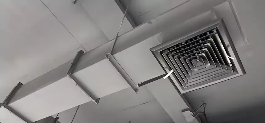 Our Rodent Droppings In Vents Services in Towson, MD