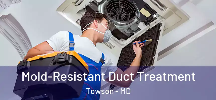  Mold-Resistant Duct Treatment Towson - MD