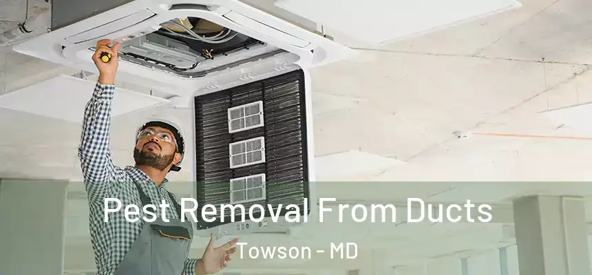 Pest Removal From Ducts Towson - MD