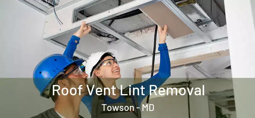 Roof Vent Lint Removal Towson - MD