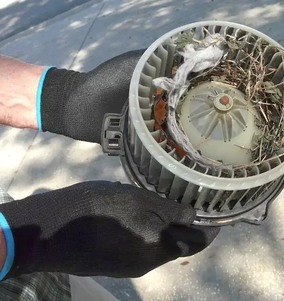 About Air Duct Rat Removal in Towson, MD