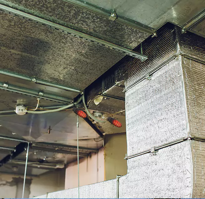 Why Homeowners & Businesses Trust Us in Towson, MD?