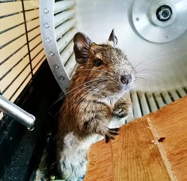 Why Homeowners & Businesses Trust Us Towson, MD?