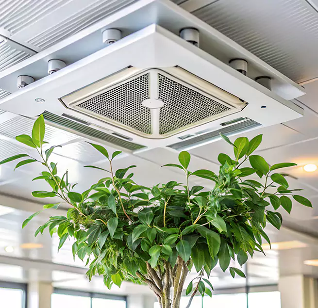 Why Homeowners & Businesses Trust Us in Towson, MD